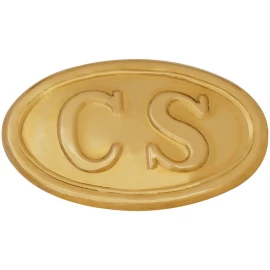 Confederate CS Army Officer's Oval Belt Buckle Made of Brass, US Civil War