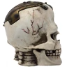 Frankenstein Skull with Metal Plate to Open 20cm Decorative Polyresin Figurine