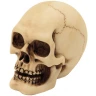 Set of 4 skulls 7cm Decorative Polyresin Figurines