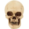 Set of 4 skulls 7cm Decorative Polyresin Figurines