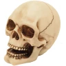 Set of 2 skulls 10cm Decorative Polyresin Figurines