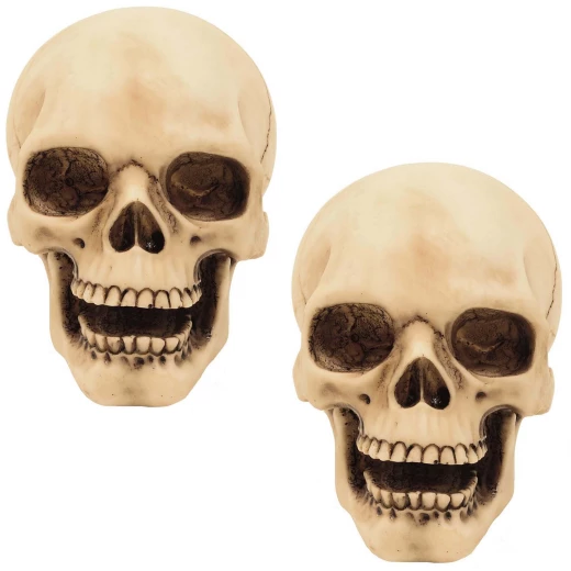 Set of 2 skulls 10cm Decorative Polyresin Figurines