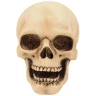 Set of 2 skulls 10cm Decorative Polyresin Figurines