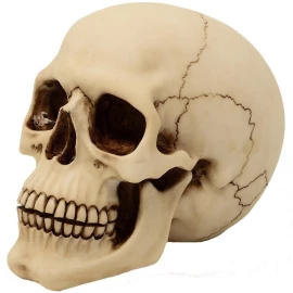 Skulptur Totenkopf detailliert 15cm