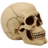 Skulptur Totenkopf detailliert 15cm