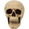 Skulptur Totenkopf detailliert 15cm