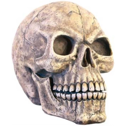 Skull XL 33cm Decorative Polyresin Figurine