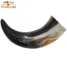 Drinking Horn with engraved “Helm of Terror” Symbol