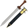Roman Sword Gladius With The Scabbard Outfit Events