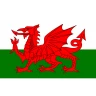 Welsh Dragon Flag